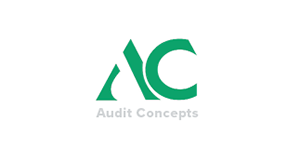 Audit Concepts