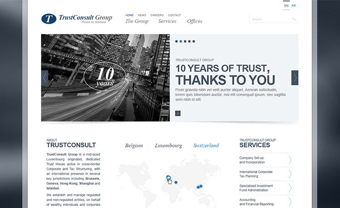 TrustConsult website